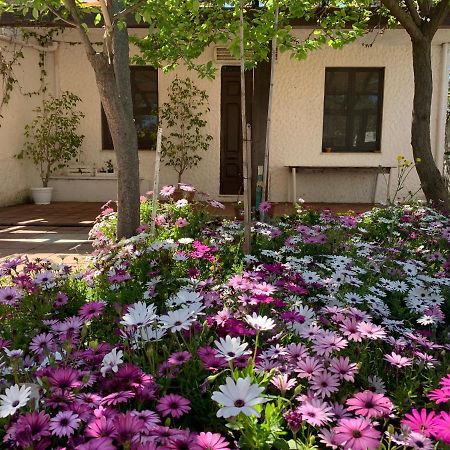 Casa Tranquilla A Pochissimi Passi Dal Mare Vila Sant'Andrea  Exterior foto