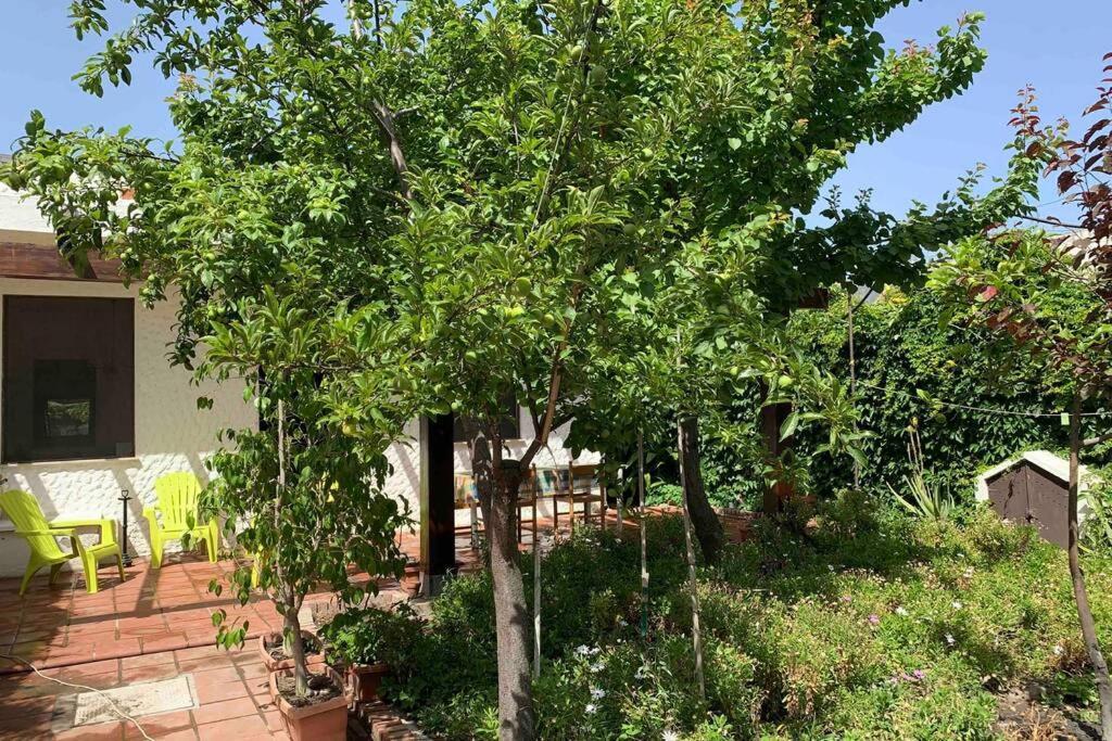 Casa Tranquilla A Pochissimi Passi Dal Mare Vila Sant'Andrea  Exterior foto