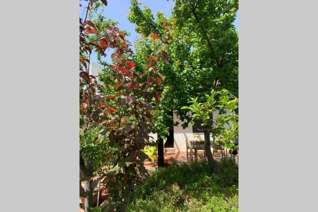 Casa Tranquilla A Pochissimi Passi Dal Mare Vila Sant'Andrea  Exterior foto