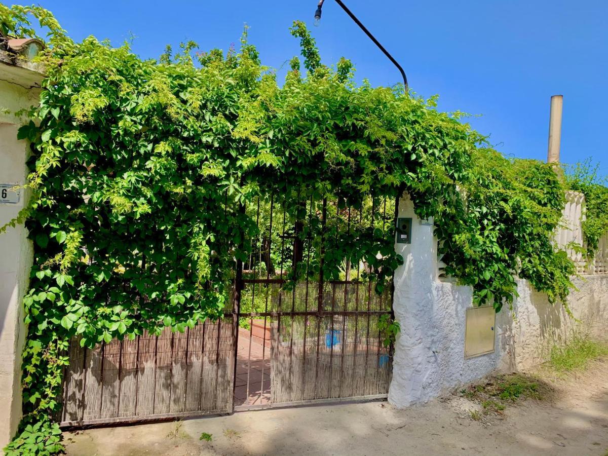 Casa Tranquilla A Pochissimi Passi Dal Mare Vila Sant'Andrea  Exterior foto