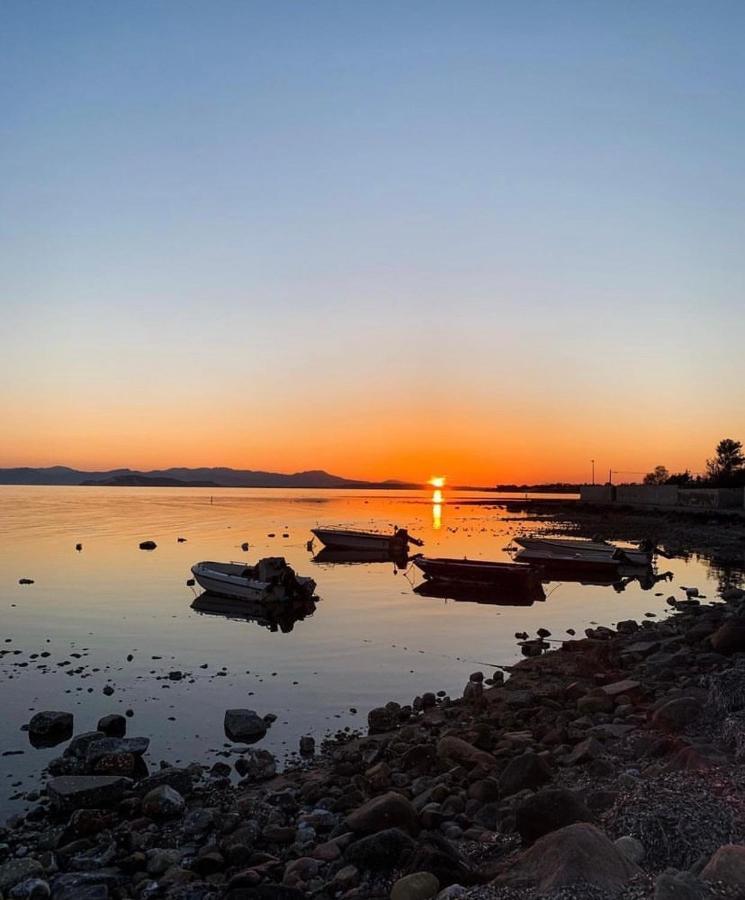 Casa Tranquilla A Pochissimi Passi Dal Mare Vila Sant'Andrea  Exterior foto