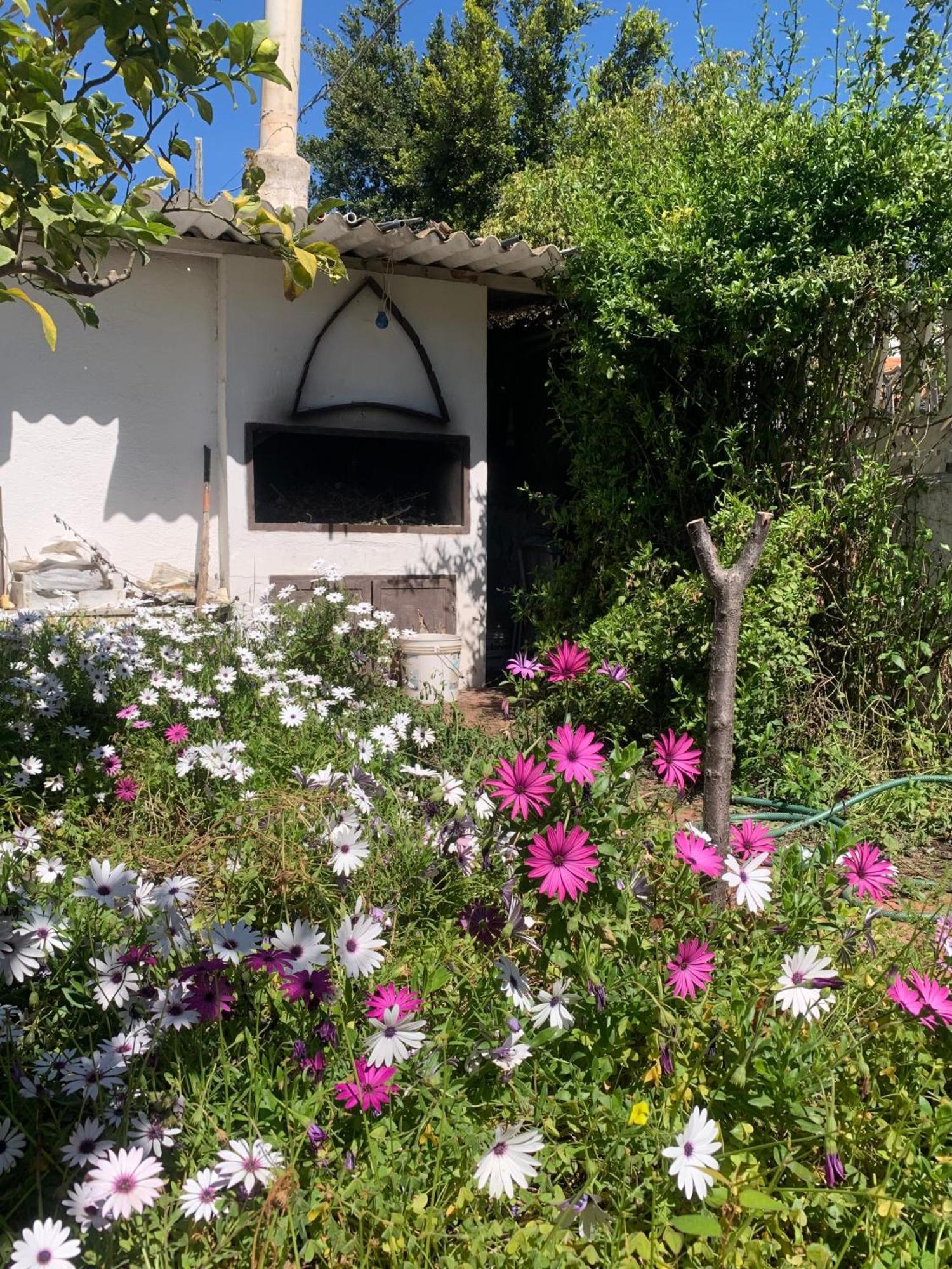 Casa Tranquilla A Pochissimi Passi Dal Mare Vila Sant'Andrea  Exterior foto